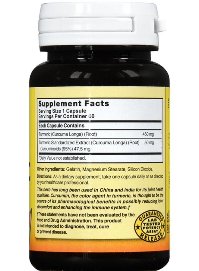 Nature's Blend Turmeric 500mg, 60 Capsules, (Pack of 2) - Image 4