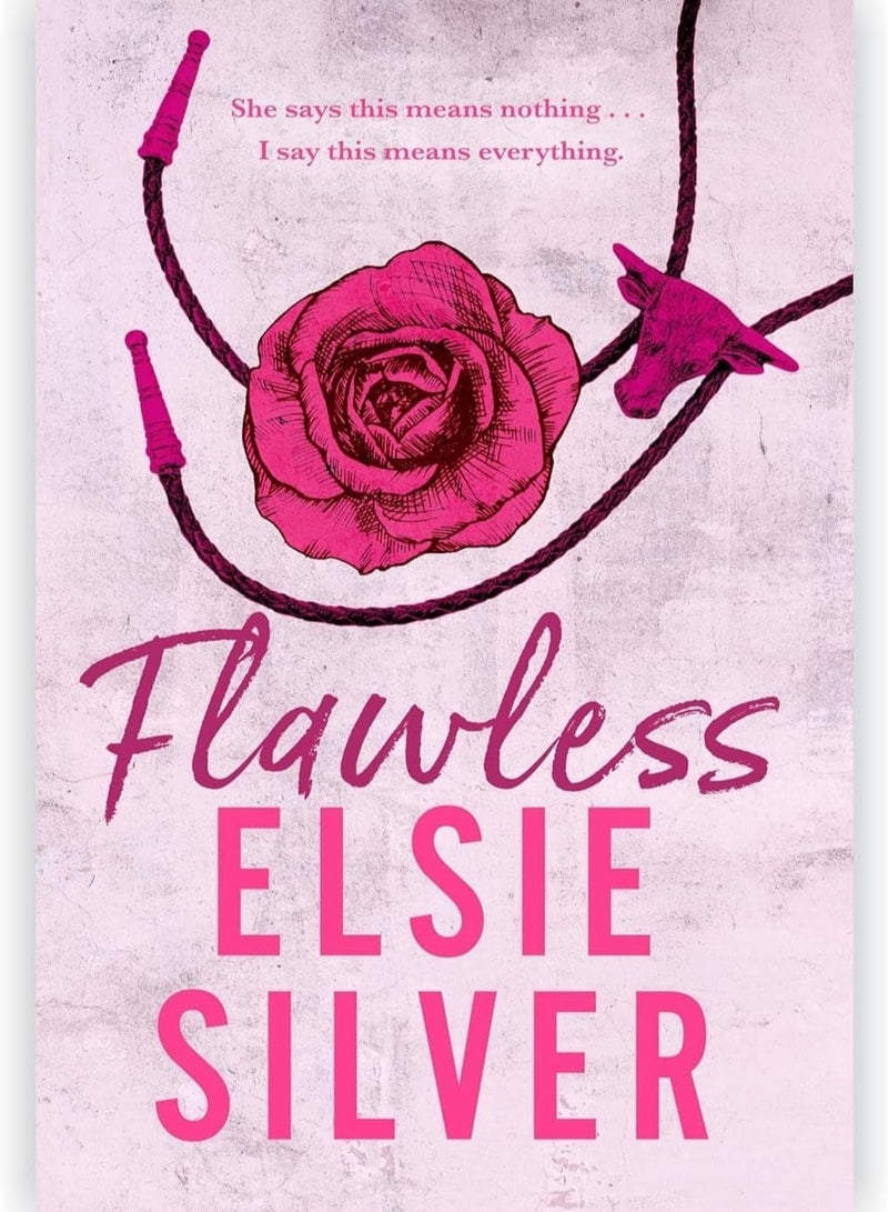 Chestnut Springs Series By Elsie Silver 5 Books collection set: Flawless,Heartless,Powerless and more - Image 3