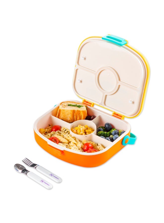 HYDROBREW 4 Compartment Bento Lunch Box w/ Spoon & Fork Set - Amber - Image 3