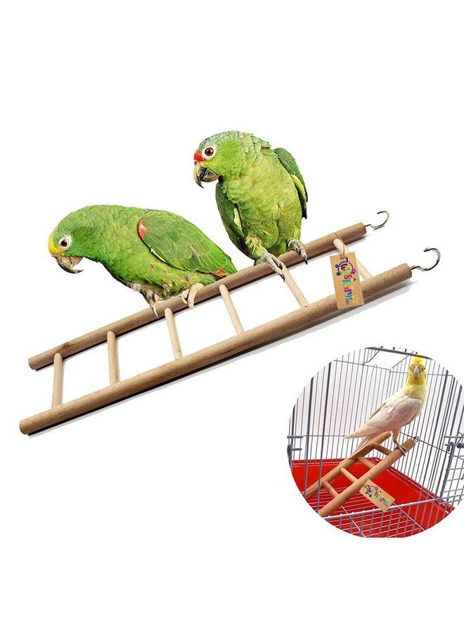 ويستيرن إرا لعبة سلم خشبي طبيعي مكون من 4 درجات للتدريب، مع خطافات، مصممة للطيور والببغاوات والبادجي والطيور الصغيرة والمتوسطة والكبيرة الأخرى - 22 سم - Image 3