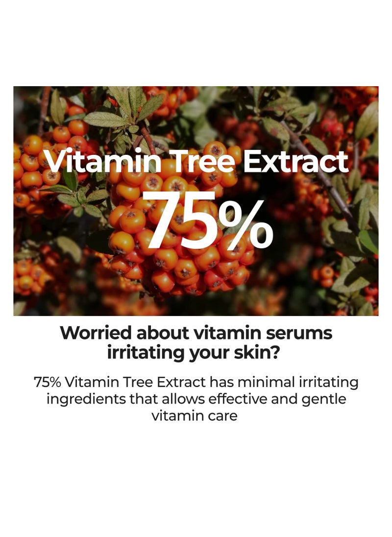 numbuzin numbuzin No.5 Goodbye Blemish Serum (50ml)  - Image 5