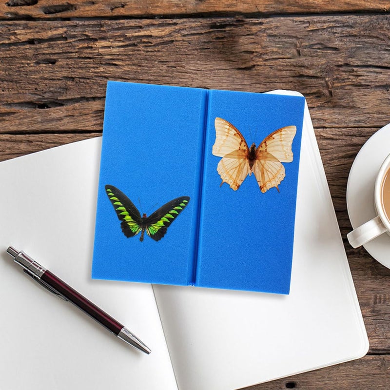 GANAZONO 2 Pcs Insect Pinning Board Set for Butterfly Specimen Display and Science Education - Image 5