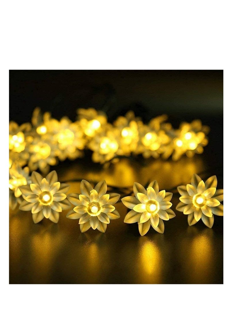 PESCA lotus flower string lights for Indoor outdoor decoration (3 Meter 15 LED, warm white)  - Image 1