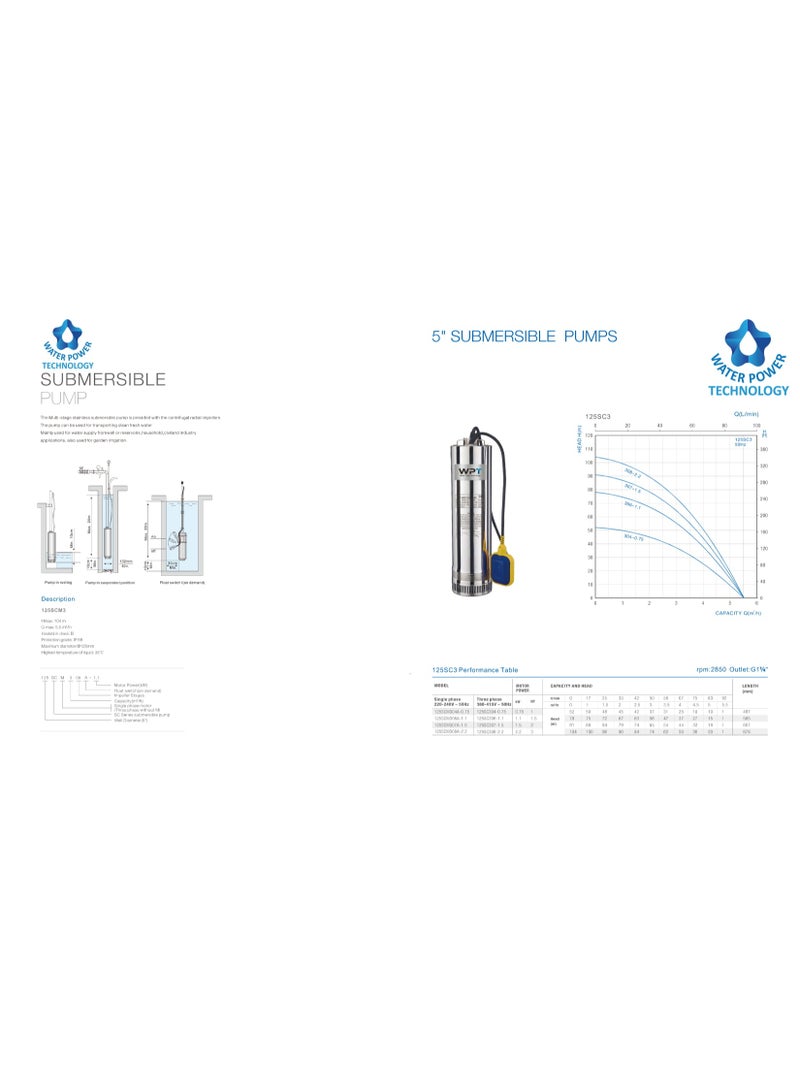 دبليو بي تي غاطسة مياه 1 حصان - Image 3