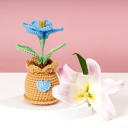 Rarejoy Gift Combo for Men and Women – Includes Crochet Lily Flower Pot, Moon Dreamcatcher, Mini Buddhas & Greeting Card – Perfect for Valentine, Birthday, Anniversary, Womens Day & Special Occasions - Image 2
