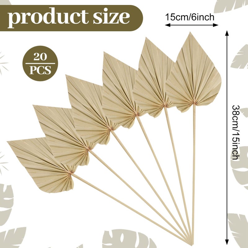 Chenkaiyang 20 Pcs Boho Dried Palm Spears Leaves Bulk  Small Natural Dried Real Palm Fans Dried Palm Leaves with Stem Dried Leaf Boho Home Decor for Vase Wedding Office Home(20 Pieces) - Image 2