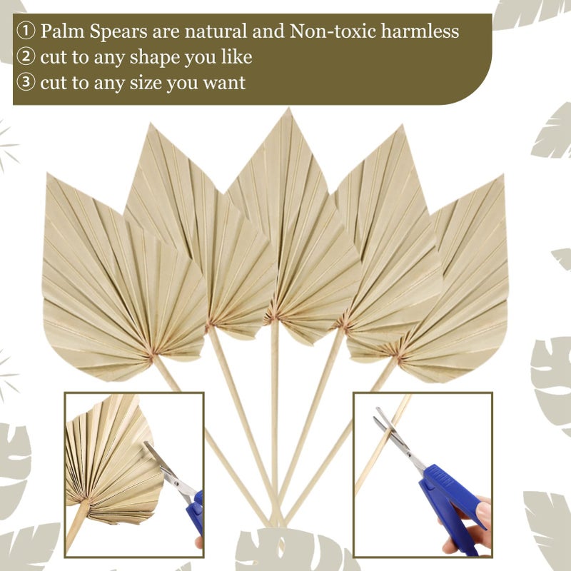Chenkaiyang 20 Pcs Boho Dried Palm Spears Leaves Bulk  Small Natural Dried Real Palm Fans Dried Palm Leaves with Stem Dried Leaf Boho Home Decor for Vase Wedding Office Home(20 Pieces) - Image 4