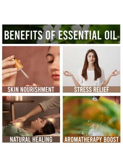 Allin Exporters Allin Exporters Agarwood Oil - 100% Pure, Natural & Undiluted - 250 ML  - Image 5