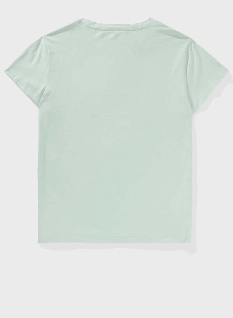 American Eagle Graphic Crew Neck T-Shirt