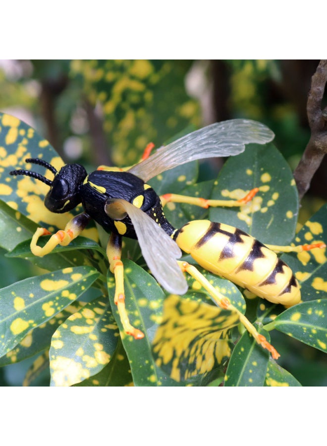 نموذج حشرة حيوان واقعي للأطفال، عسل النحل الأصفر، دبور النحل، لعبة مزحة بلاستيكية، لعبة زينة تعليمية معرفية - اللون: ZZ نموذج حشرة متوسط ​​12 مجموعة - Image 5