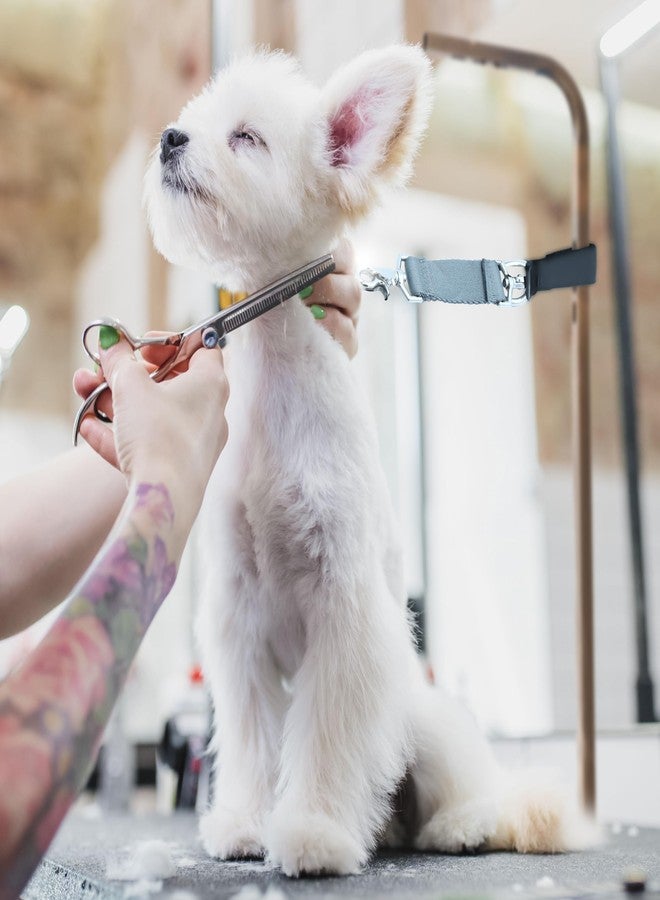 Groomer Essentials Adjustable Dog Grooming Arm Restraint – Multi-Use Pet Table Accessory for Professional Groomers & Veterinarians – Secure Hold for Dogs of All Sizes - Image 2