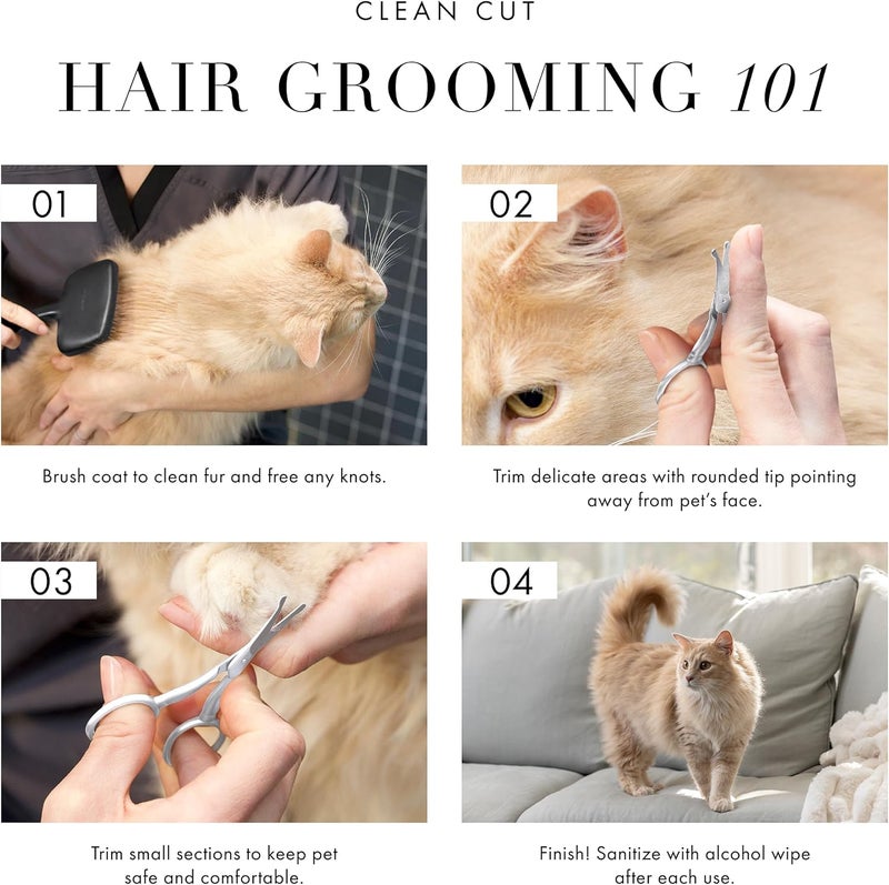 Pet Grooming Scissors - Stainless Steel Rounded Tip Trimming Shears for Dogs and Cats - Image 4