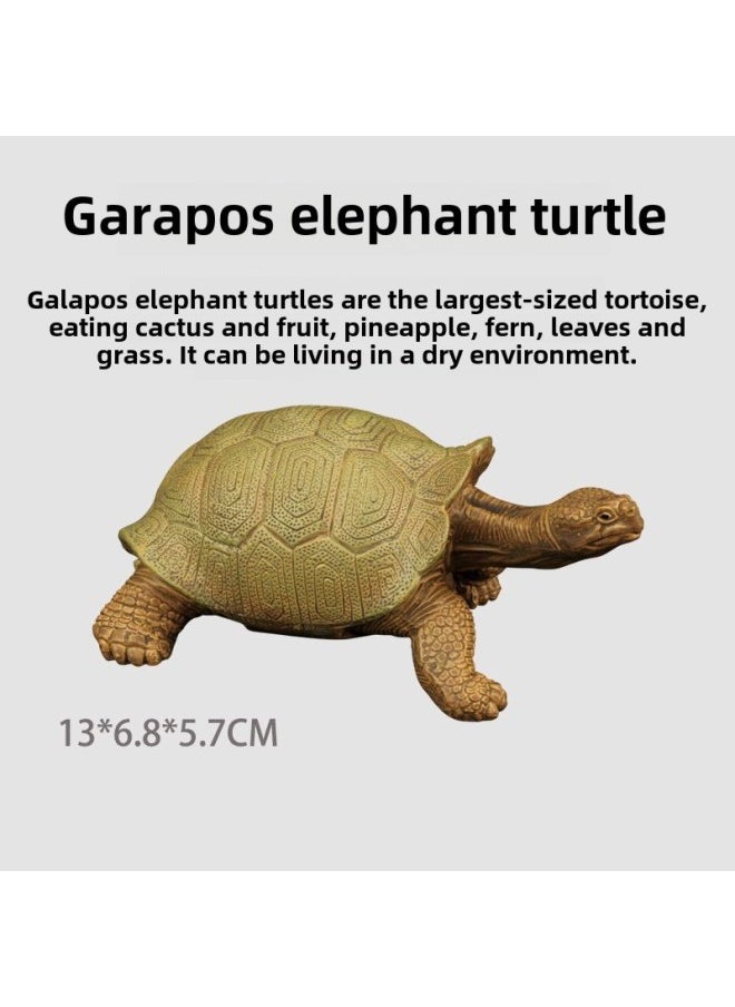 Generic - Simulation Solid Static Tortoise Model Children's Cognitive Elephant Turtle Turtle Amphibious Animal Ornaments Hand-made Direct Sales-Color:S610 Red-legged Elephant Turtle - Image 1