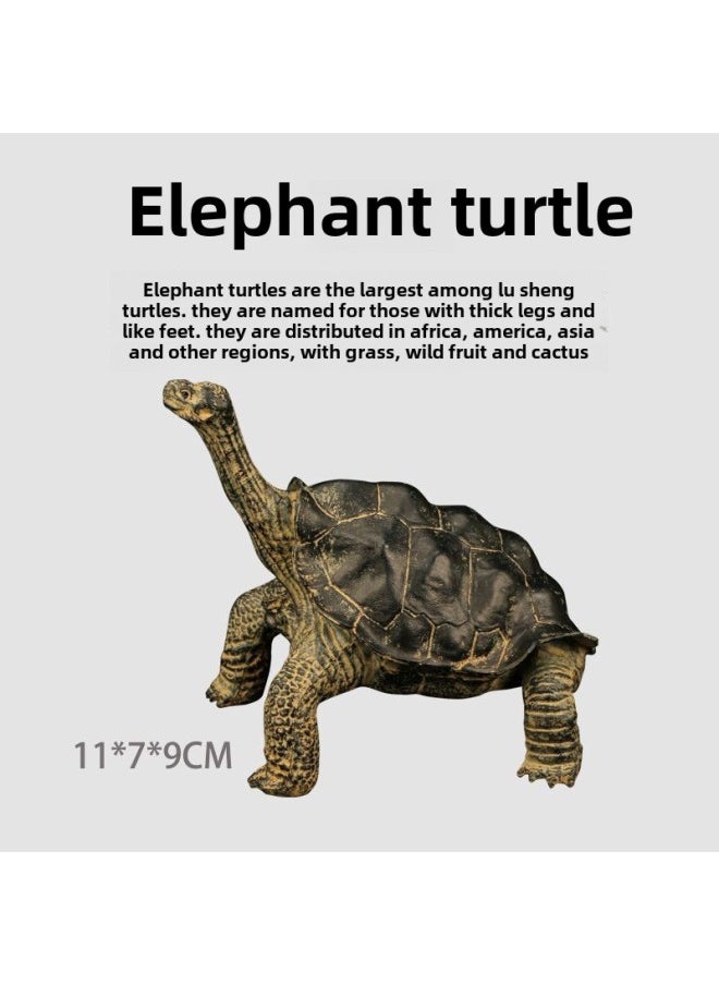 Generic - Simulation Solid Static Tortoise Model Children's Cognitive Elephant Turtle Turtle Amphibious Animal Ornaments Hand-made Direct Sales-Color:S610 Red-legged Elephant Turtle - Image 1
