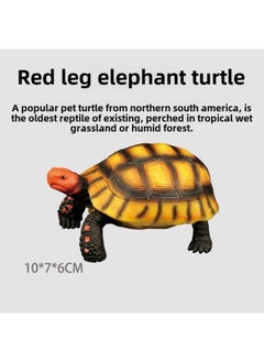 Simulation Solid Static Tortoise Model Children's Cognitive Elephant Turtle Turtle Amphibious Animal Ornaments Hand-made Direct Sales-Color:S610 Red-legged Elephant Turtle