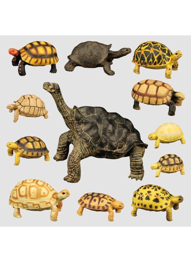 Generic - Simulation Solid Static Tortoise Model Children's Cognitive Elephant Turtle Turtle Amphibious Animal Ornaments Hand-made Direct Sales-Color:S610 Red-legged Elephant Turtle - Image 1