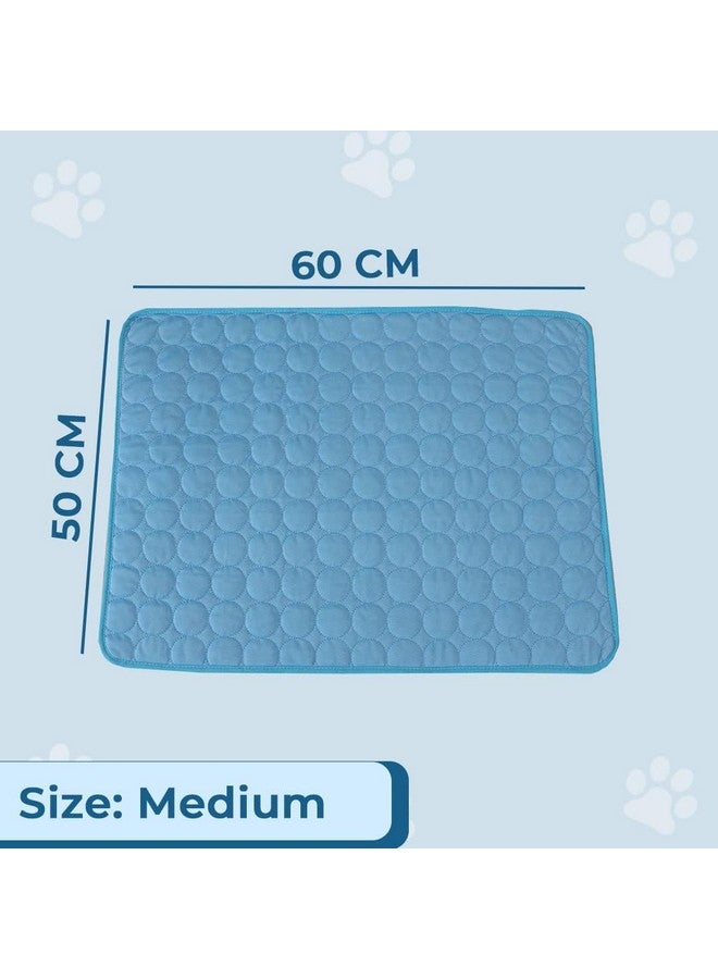 هارتس سرير مستطيل للكلاب والقطط | حرير جليدي ممتاز مع بوليستر مع شبكة سفلية | وسادة تبريد ذاتية متعددة الاستخدامات للكلاب والقطط | سرير خفيف الوزن ومتين للكلاب | Zqcj001B-M | أزرق - Image 3