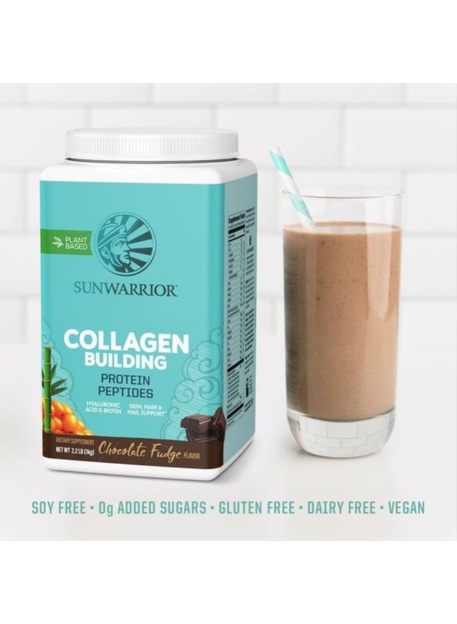 Sunwarrior Vegan Collagen Protein Powder Plant-Based | Hyaluronic Acid Minerals Biotin Soy Free Dairy Free Gluten Free Non-GMO | Chocolate 40 Servings | Collagen Building Peptides - Image 5