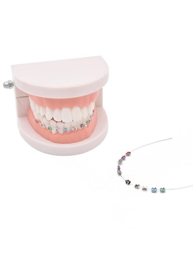 Temporary Tooth Decoration Blue Metal Wires Brackets Orthodontic Ligature Ties Dental Training Practice Props For Dental Students Teaching Learning Supplies Blue - Image 4