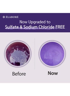 Elabore Elabore Acai Berry Super Hair Pack & (Sulfate Free) Shampoo Set 33.80fl.oz/ 1000ml  - Image 2