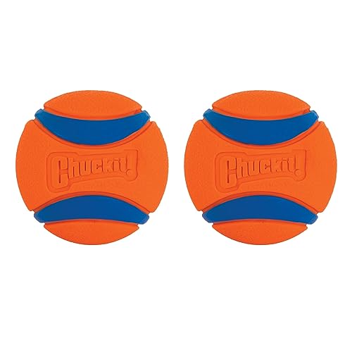 Chuckit Ultra Ball Dog Toy Balls for Dogs to Fetch Durable Rubber Small 2inch Pack of 2 - Image 1