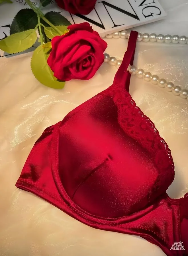 Take Two  Burgundy Lace Trim Padded Wired Regular Bra for Women | Best Price UAE