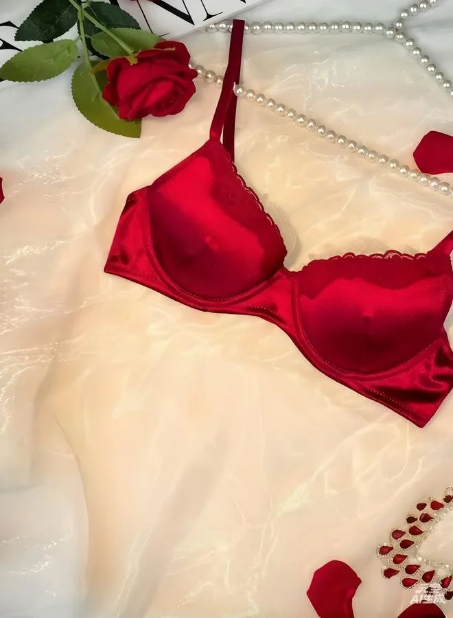 Take Two  Burgundy Lace Trim Padded Wired Regular Bra for Women | Best Price UAE