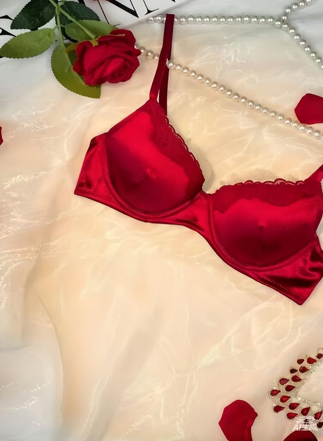 Take Two Burgundy Lace Trim Padded Wired Regular Bra - Image 3