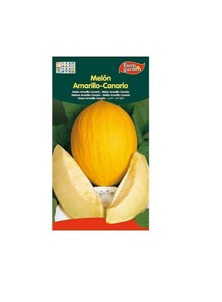 KNP EG Melon Yellow Seeds