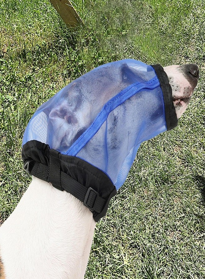 IEUDNS Foxtail Mask for Dogs, Dog Face Guard, Adjustable Head Net, Field Cover, Polyester, Blue, L - Image 4