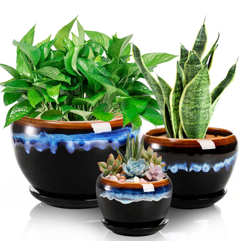 AVLA 3 Pack Ceramic Flower Pots Gardening Drip Glazed Planter Plant Pot with Drainage Hole and Saucer 754 Inch Rustic Houseplant Container for Succulent Herbs Cactus Orchid Home Indoor Outdoor
