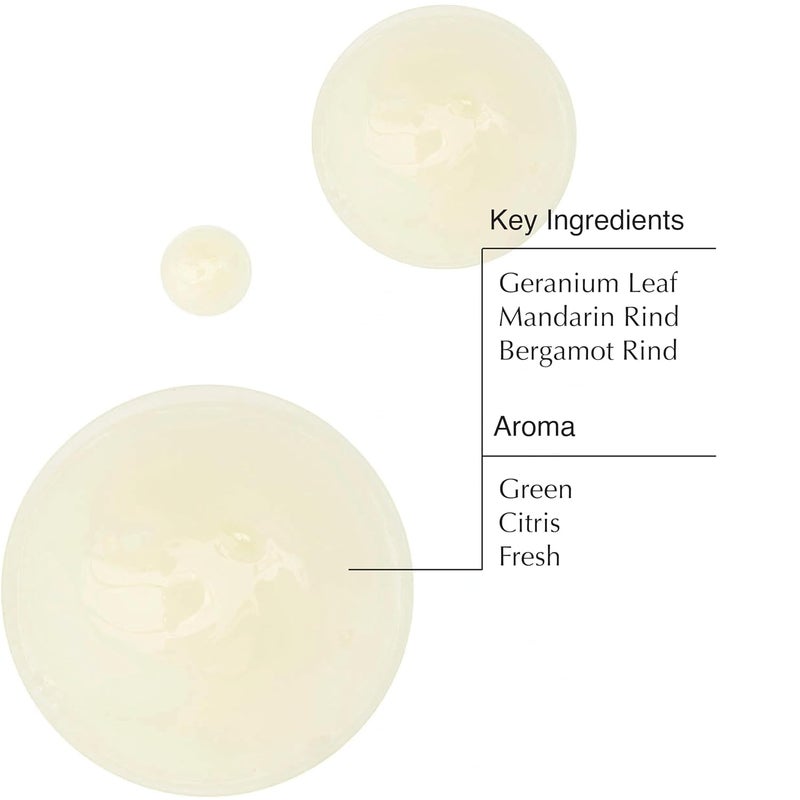 Aesop Geranium Leaf Body Cleanser For All Skin Types To Cleanse Without Drying Out Geranium Leaf Mandarin Rind Bergamot Rind 169 oz 500mL Eleos Nourishing Body Cleanser Sample - Image 3