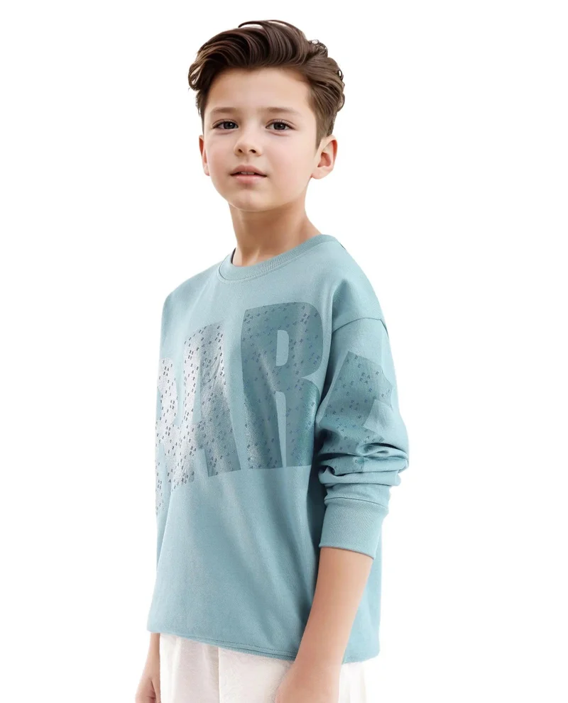 Rare Ones Rare Ones Kids Cramet Turq Cotton Poly Full Sleeve Gel With Hd Print Sweatshirt