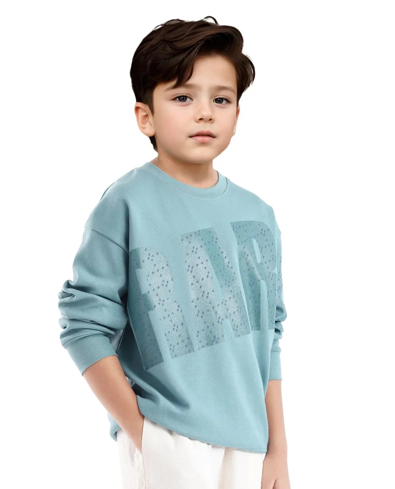 Rare Ones Rare Ones Kids Cramet Turq Cotton Poly Full Sleeve Gel With Hd Print Sweatshirt