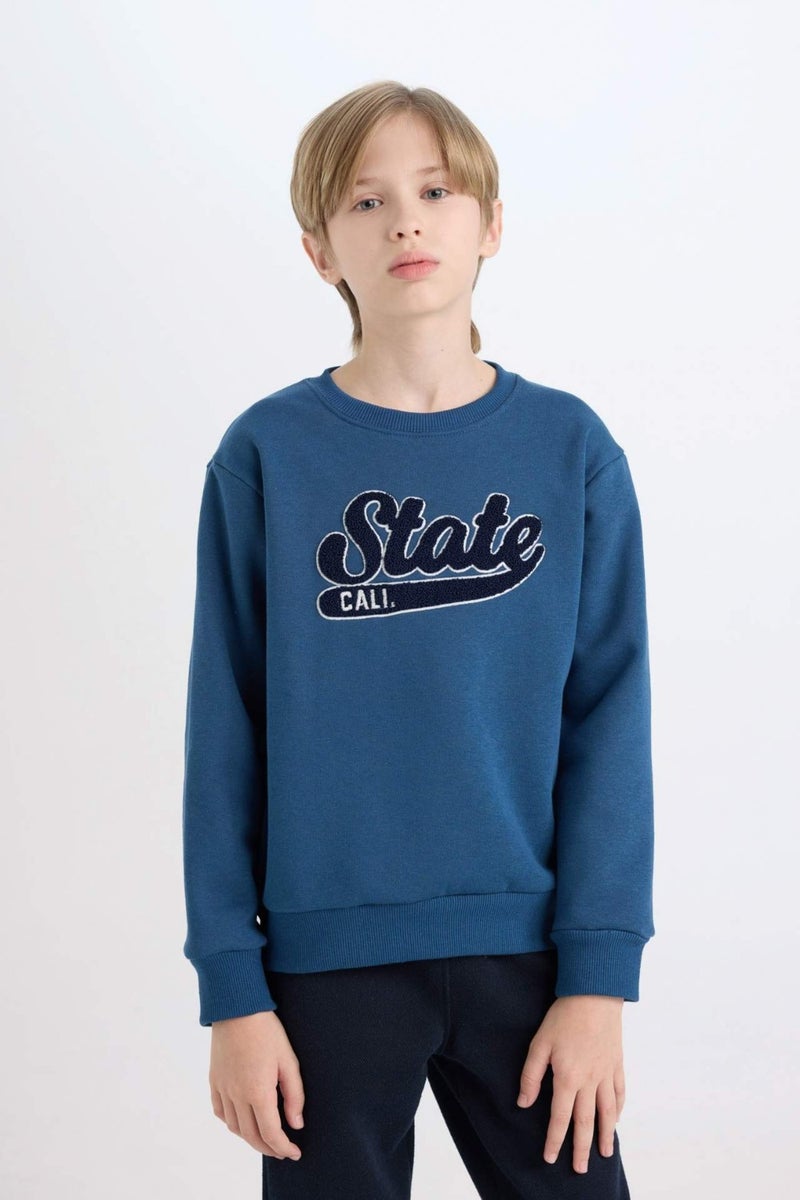 DeFacto Boy Navy Blue Regular Fit Crew Neck Embroidered Thick Sweatshirt D3053A824WN  - Image 1