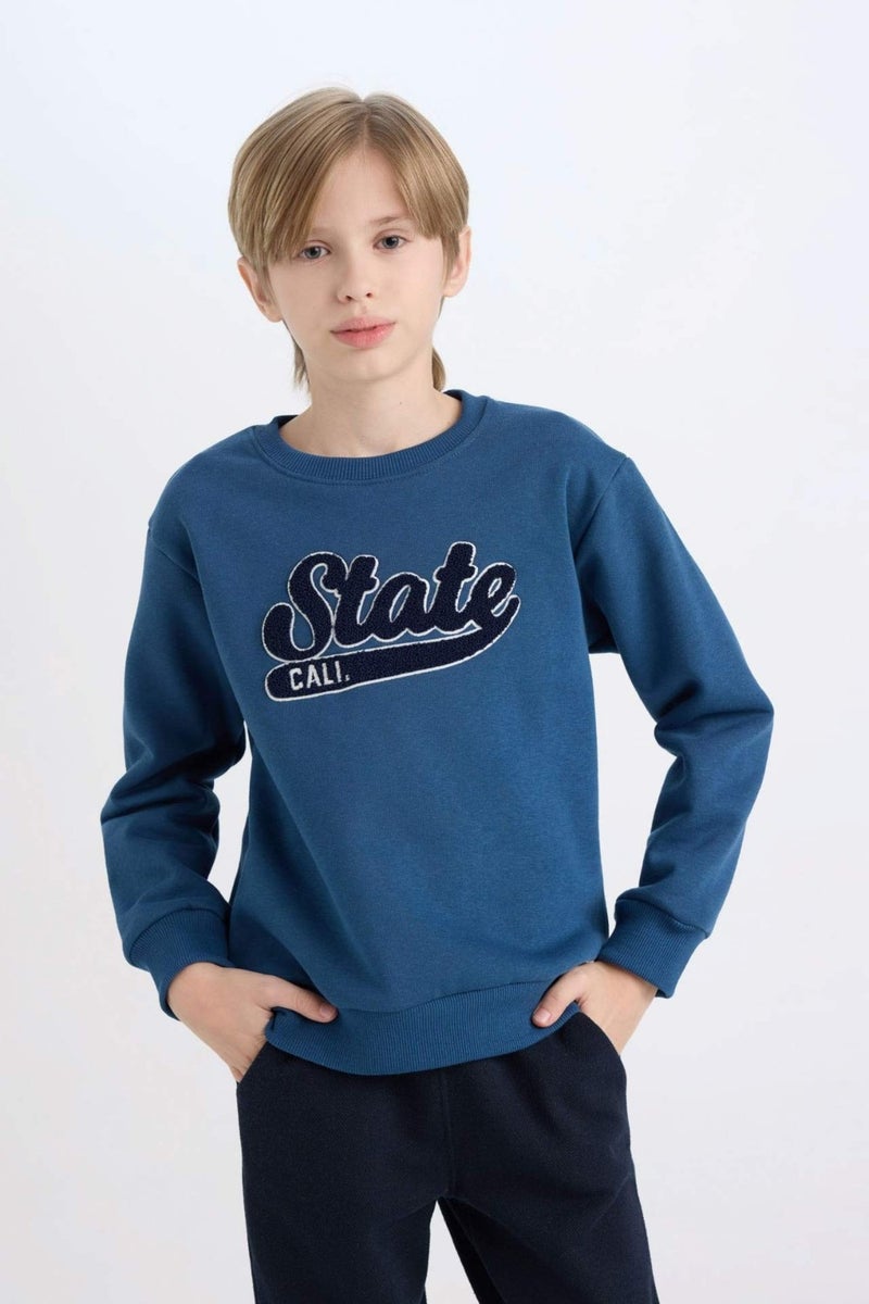 DeFacto Boy Navy Blue Regular Fit Crew Neck Embroidered Thick Sweatshirt D3053A824WN  - Image 2