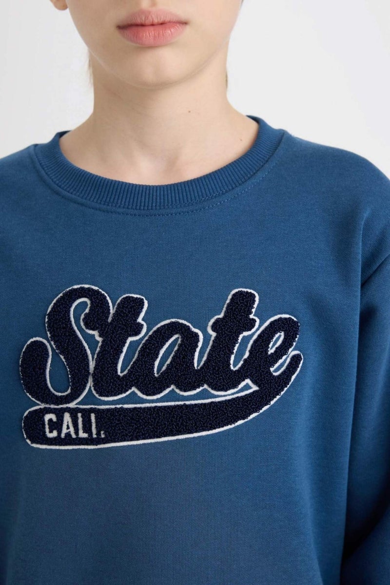 DeFacto Boy Navy Blue Regular Fit Crew Neck Embroidered Thick Sweatshirt D3053A824WN  - Image 4