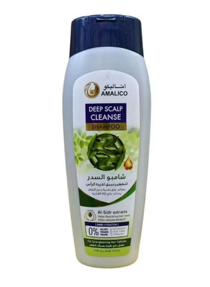 AMALICO Deep Scalp Cleanse Shampoo Al Sider Extracts 425ml