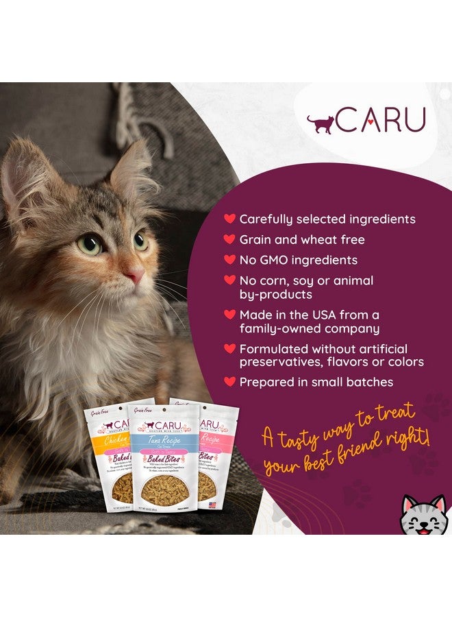 CARU - Soft ‘n Tasty Baked Bites - Chicken Bites Cat Treats - Flavorful All-Natural Treats - 3 oz. - Image 4