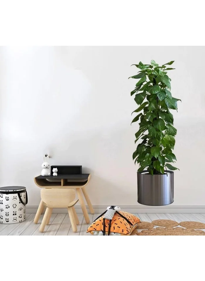 Lisinya Practical Potted Plant Designed Adhesive Sticker Picture 90*30 cm