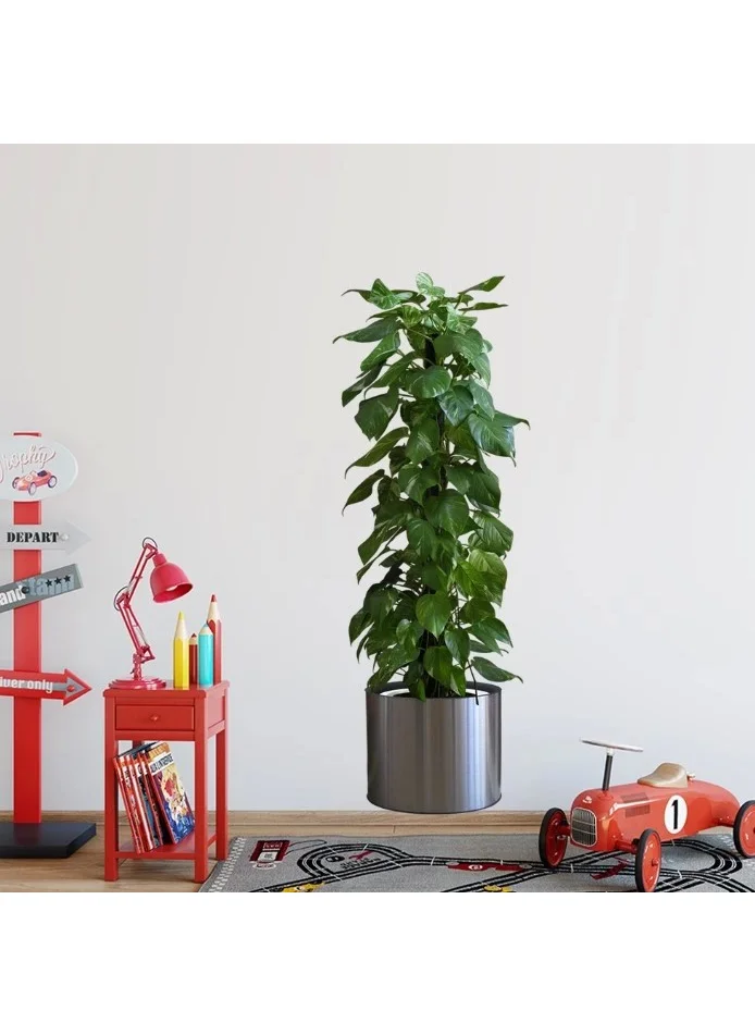 Lisinya Practical Potted Plant Designed Adhesive Sticker Picture 90*30 cm