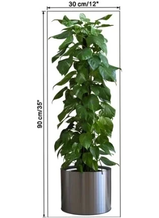 Lisinya Practical Potted Plant Designed Adhesive Sticker Picture 90*30 cm