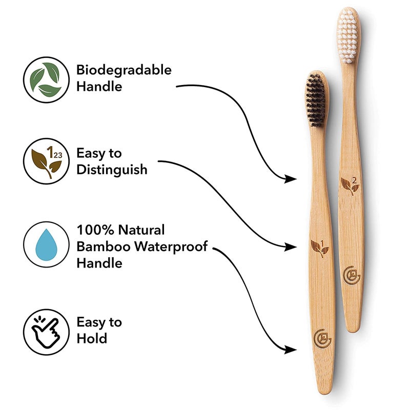 Greenzla Bamboo Toothbrushes for Adults â€“ 12 Pack Wooden Toothbrush Set with Charcoal-Infused Soft Bristles, Natural Oral Care for Daily Use - Image 4