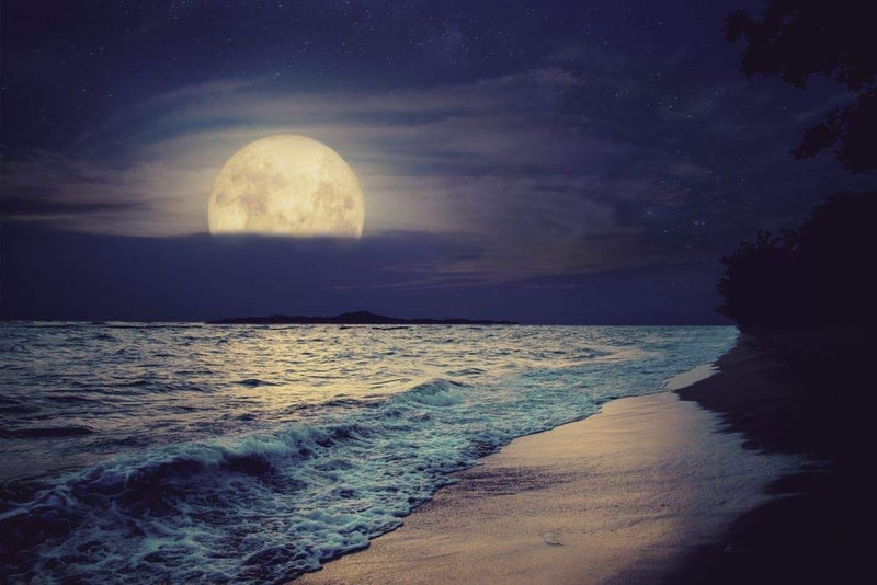 5 Ace Beautiful fantasy tropical sea beach Sticker Poster|Night Moon poster|Nature posters|size:12x18 inch,multicolor - Image 5