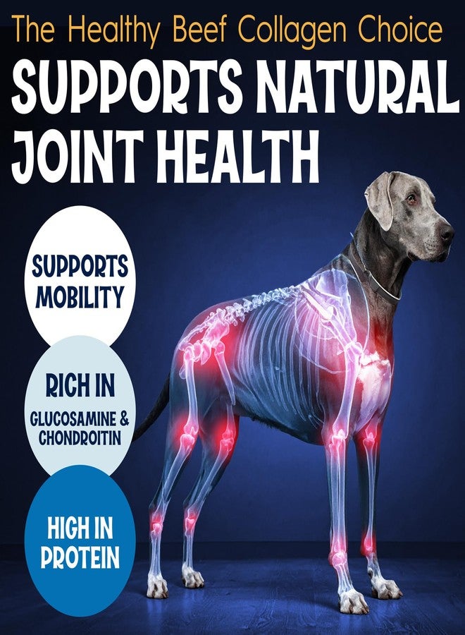Fetcheroni 12" Collagen Sticks for Dogs – Low Odor Long-Lasting Bully Stick & Rawhide Alternative, Single Ingredient Beef Bone, High Protein Dental Treat, Vet Approved, Improves Joint Health – 10 Pack - Image 5