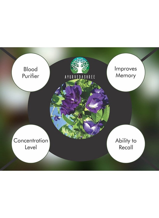 AYURVEDASHREE Shankhpushpi Powder 200 Gm | Convolvulus Pluricaulis | Supports Immunity System | Vegan | Non GMO | GMP Certified | Gluten Free - Image 5