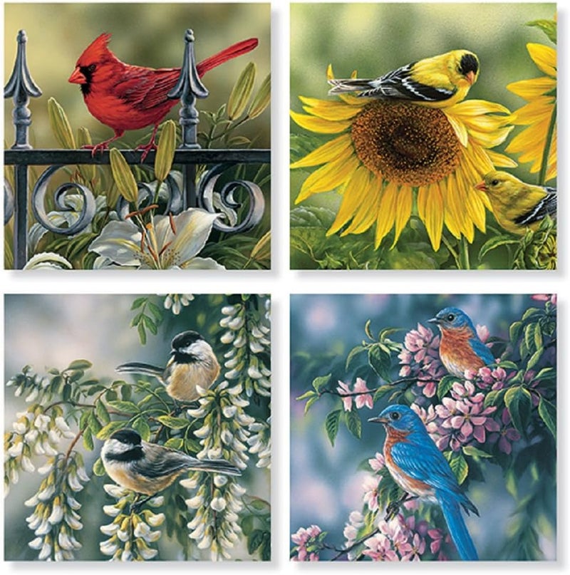 Set of 4 Mixed Birds Square Stone Coaster Set by Carson Home Accents
