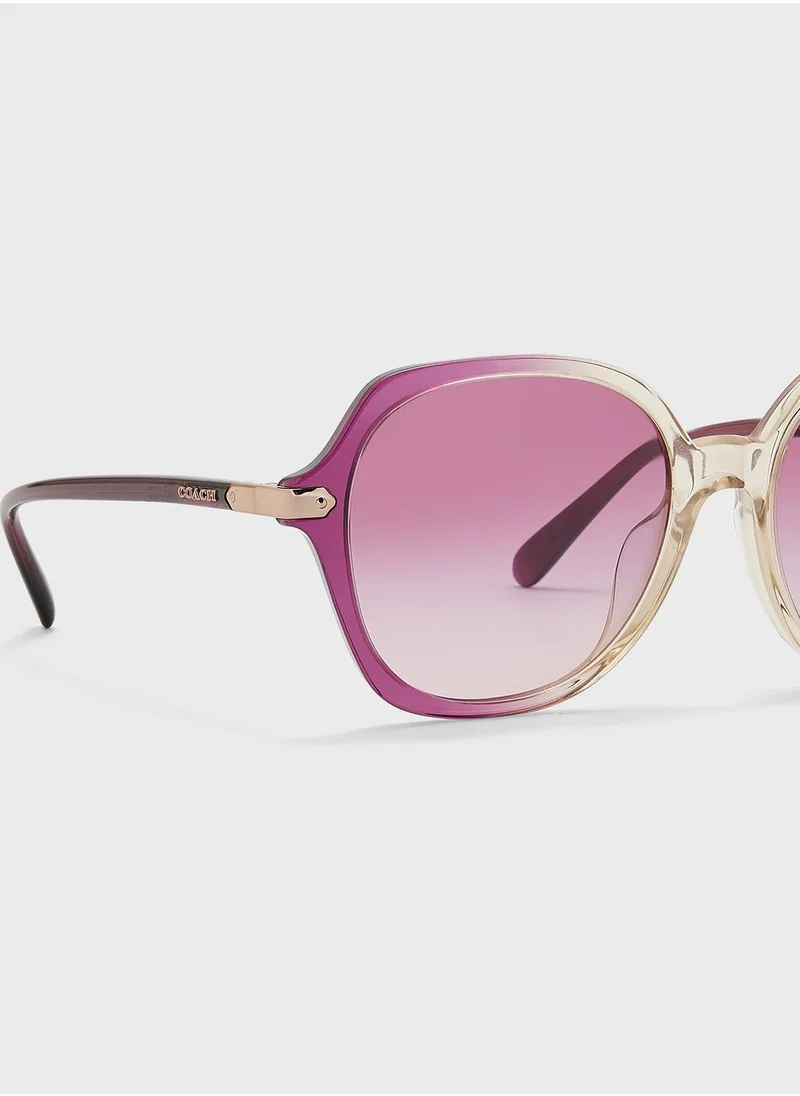 COACH 0Hc8377U Oversized Sunglasses