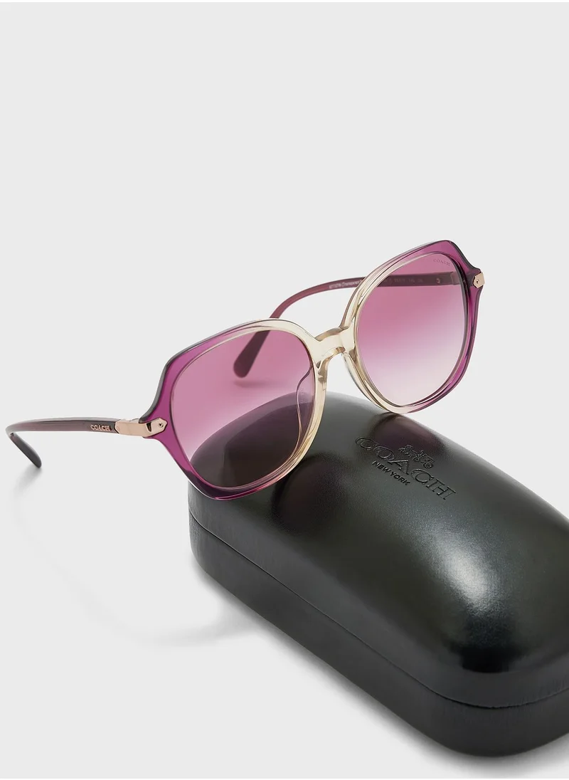 COACH 0Hc8377U Oversized Sunglasses