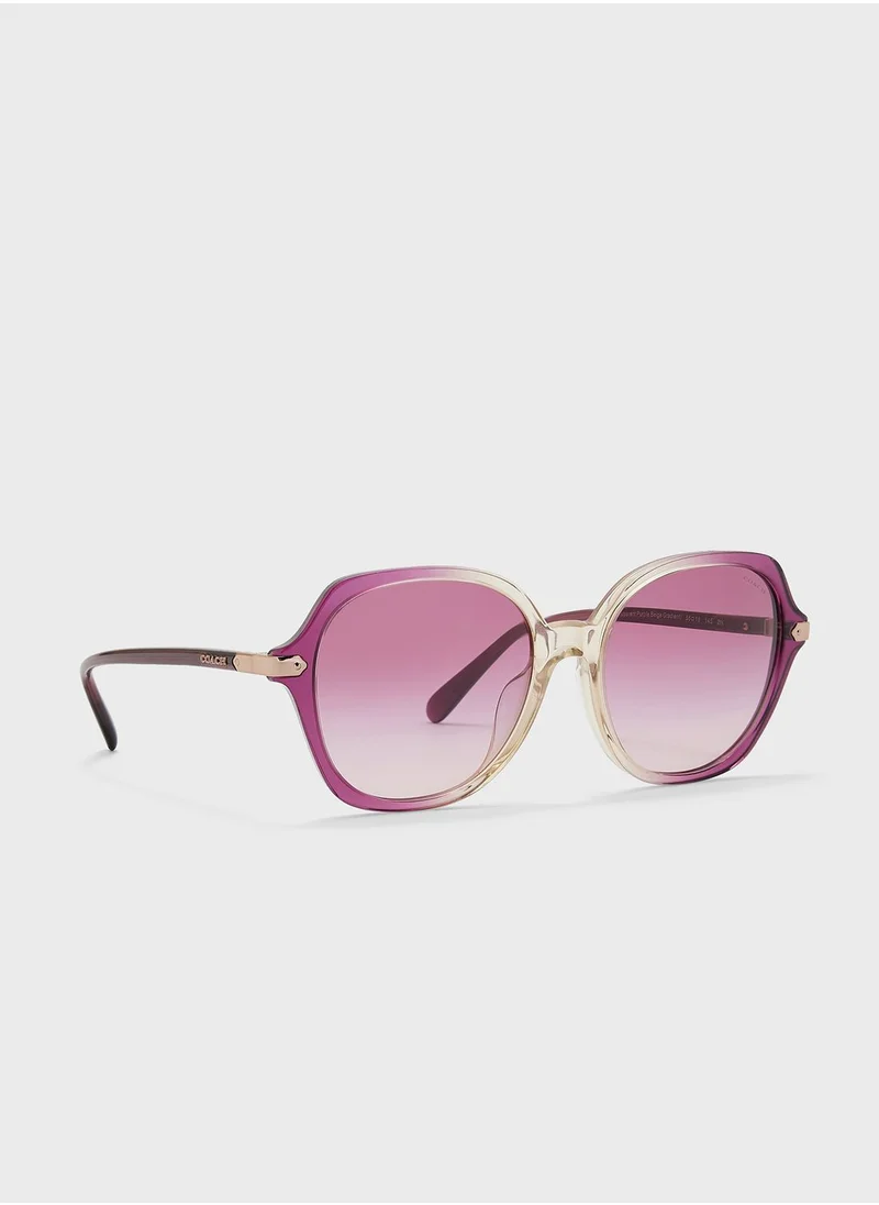 COACH 0Hc8377U Oversized Sunglasses